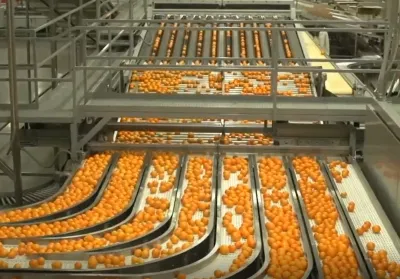 Preventative Maintenance Tips for Golf Cart Dashboards